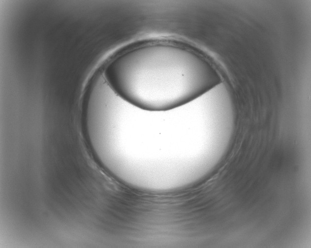 X0000068891319200605051105