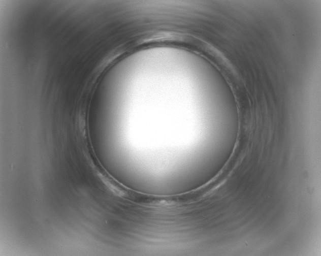 X0000068891321200605051105