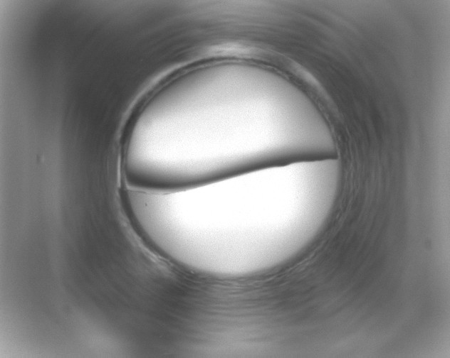 X0000068891323200605051105