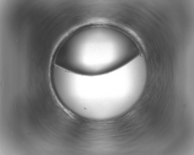 X0000068891327200605051105