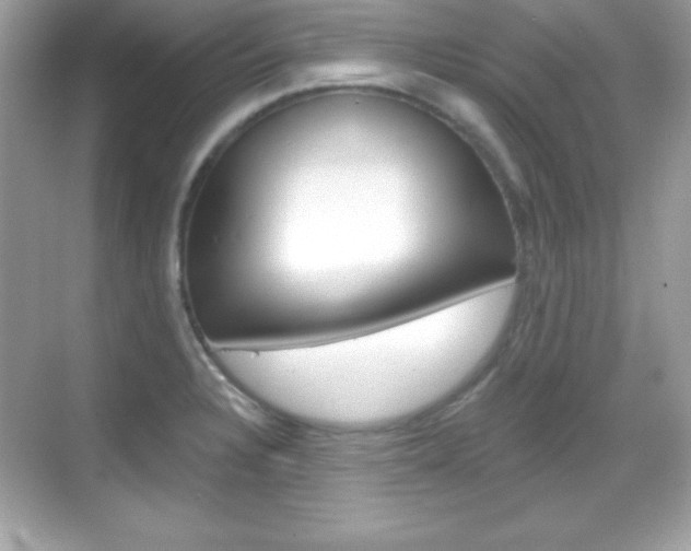 X0000068891328200605051105
