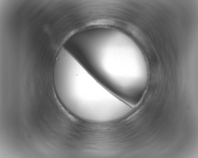 X0000068891329200605051105
