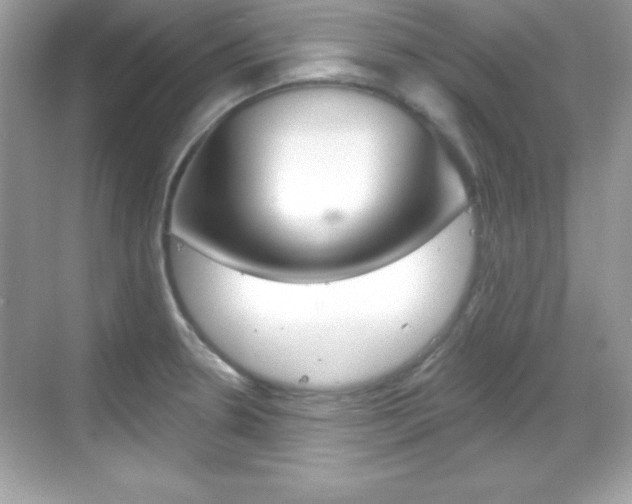X0000068891330200605051105