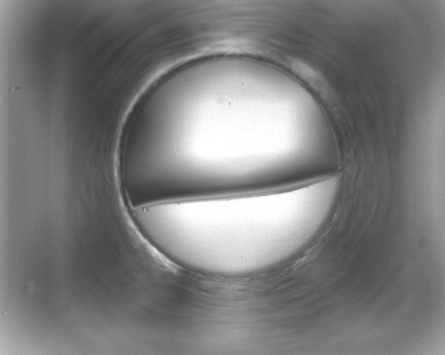 X0000068891334200605051105