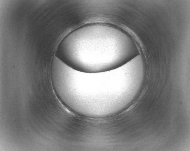 X0000068891337200605051105