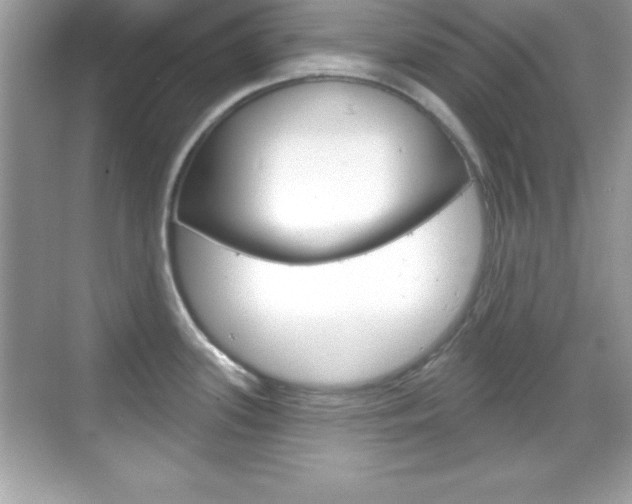 X0000068891339200605051105