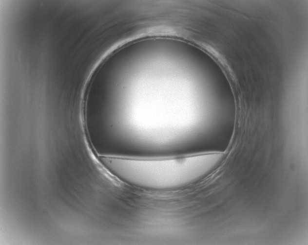 X0000068891342200605051105