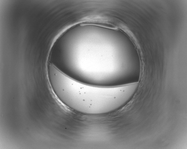 X0000068891344200605051105