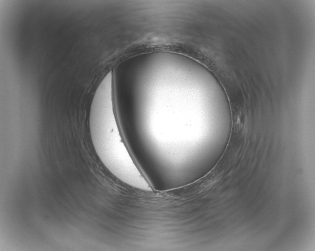 X0000068891348200605051104