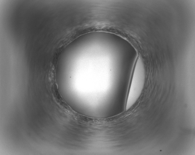 X0000068891349200605051104
