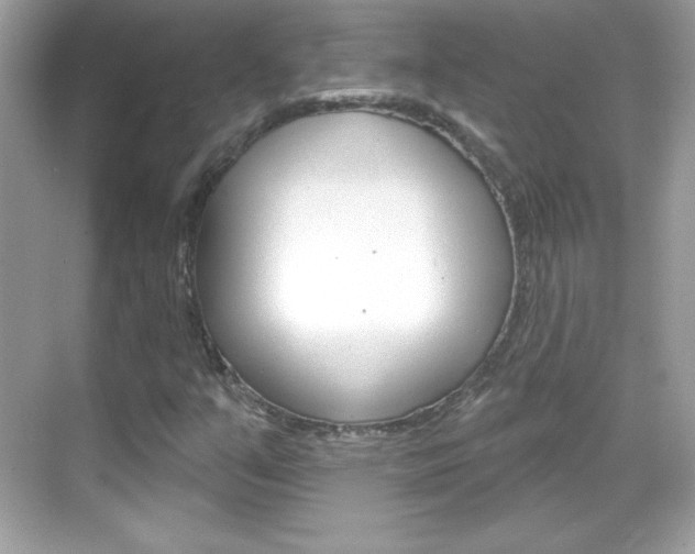 X0000068891351200605051104