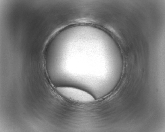 X0000068891358200605051104