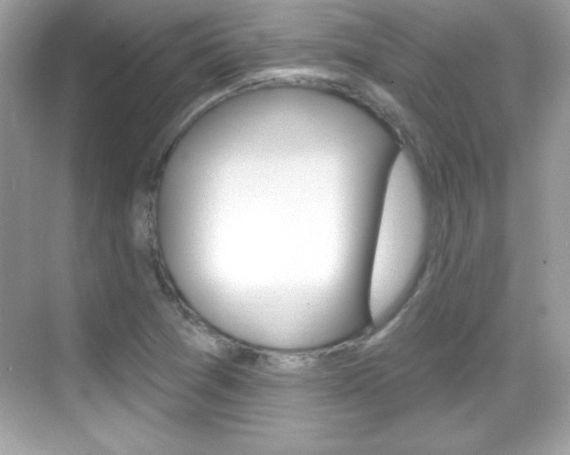 X0000068891361200605051104