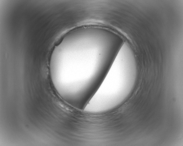X0000068891363200605051104