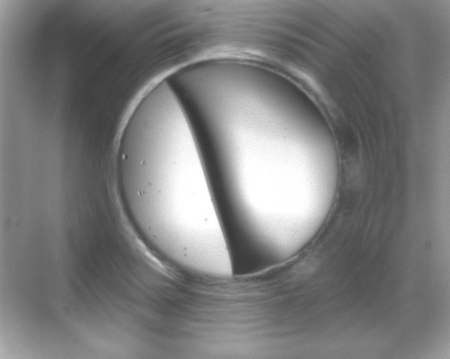 X0000068891371200605051104
