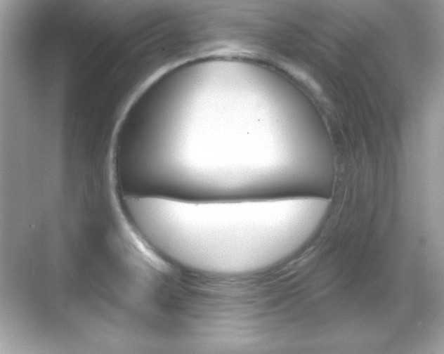 X0000068891375200605051104