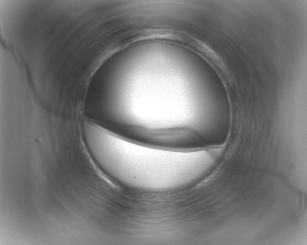 X0000068891377200605051104