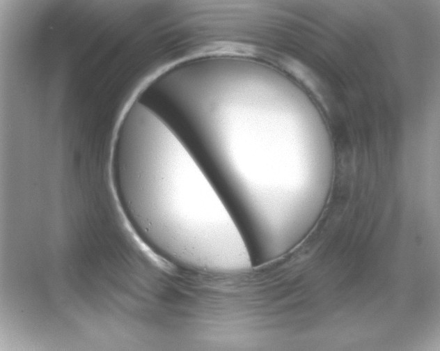X0000068891379200605051104