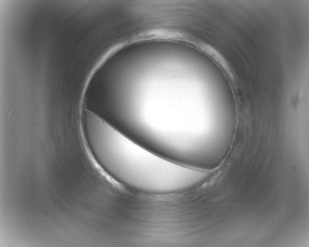 X0000068891381200605051104
