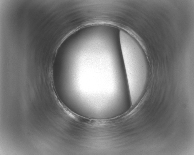 X0000068891385200605051104