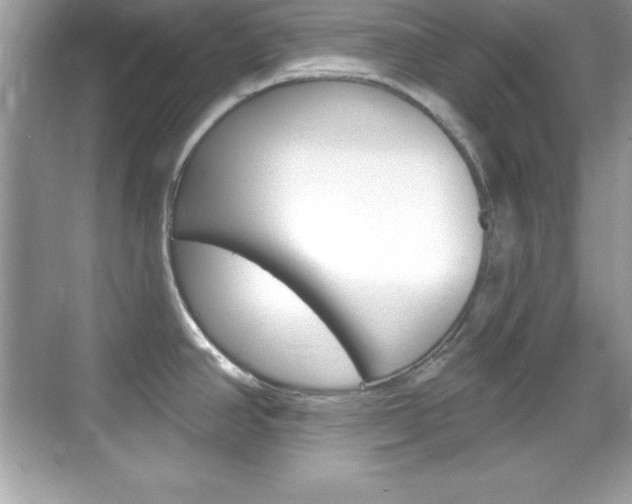 X0000068891390200605051104