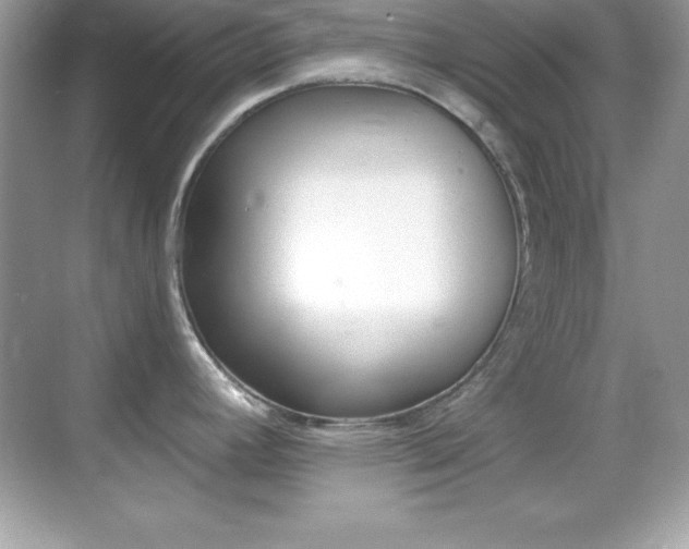 X0000068891392200605051104