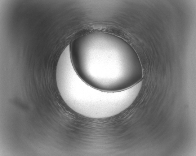 X0000068891394200605051103