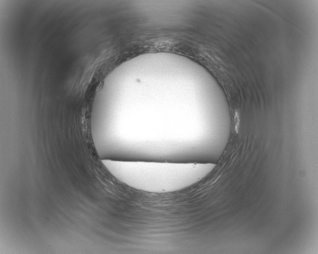 X0000068891395200605051103