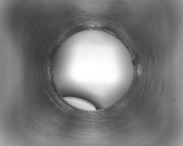 X0000068891396200605051103