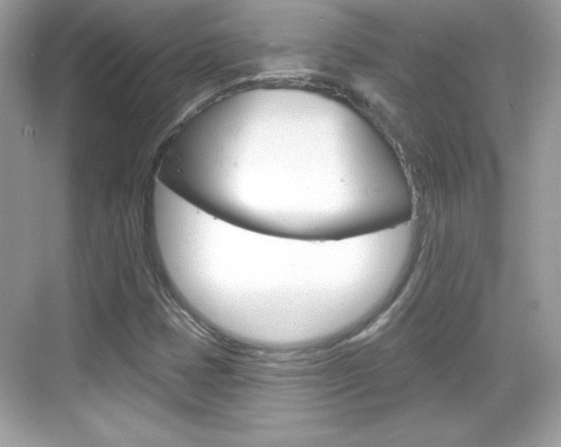 X0000068891401200605051103