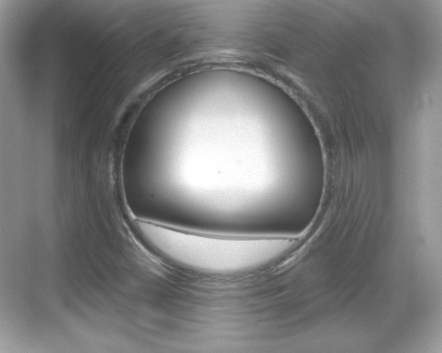 X0000068891402200605051103