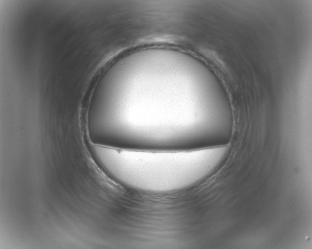 X0000068891404200605051103