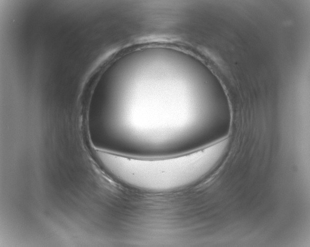 X0000068891406200605051103