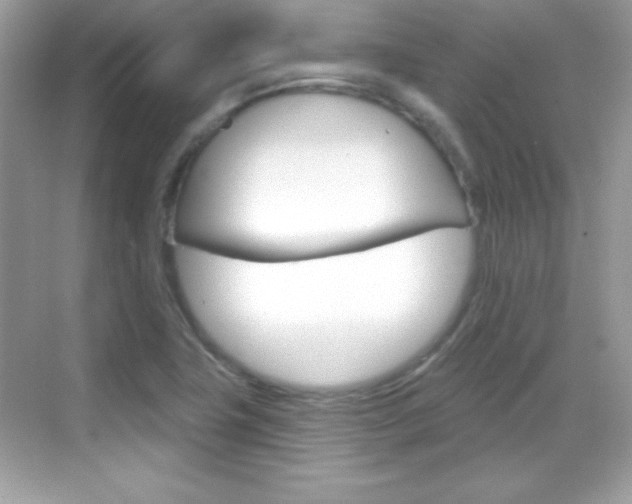 X0000068891411200605051103