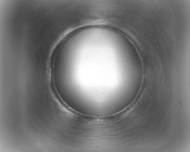 X0000068891414200605051103