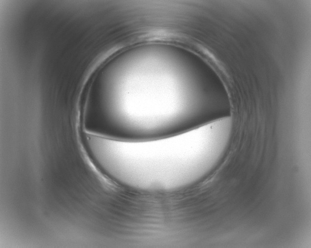 X0000068891418200605051103