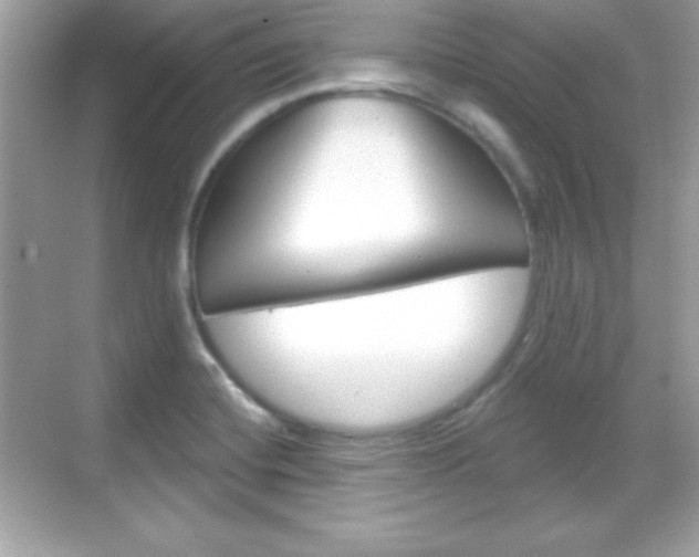 X0000068891420200605051103