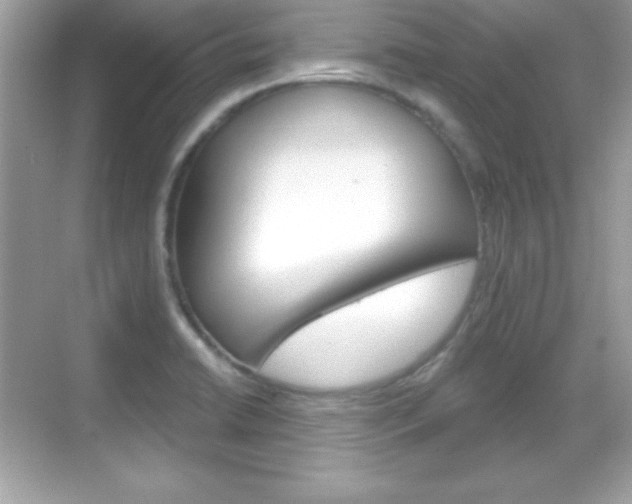 X0000068891422200605051103