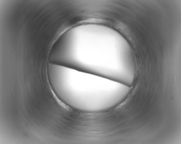 X0000068891425200605051103