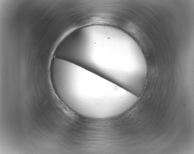 X0000068891427200605051103