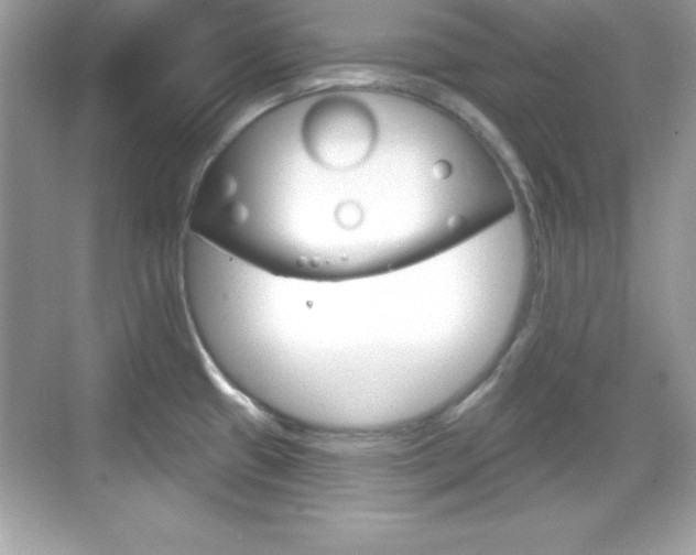 X0000068891433200605051104