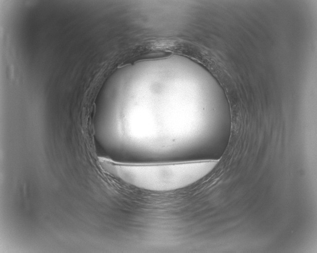 X0000068891441200605051103