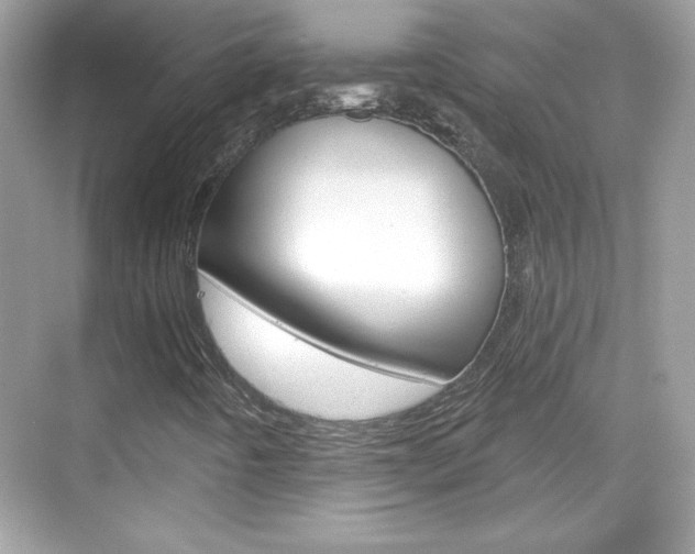 X0000068891442200605051103