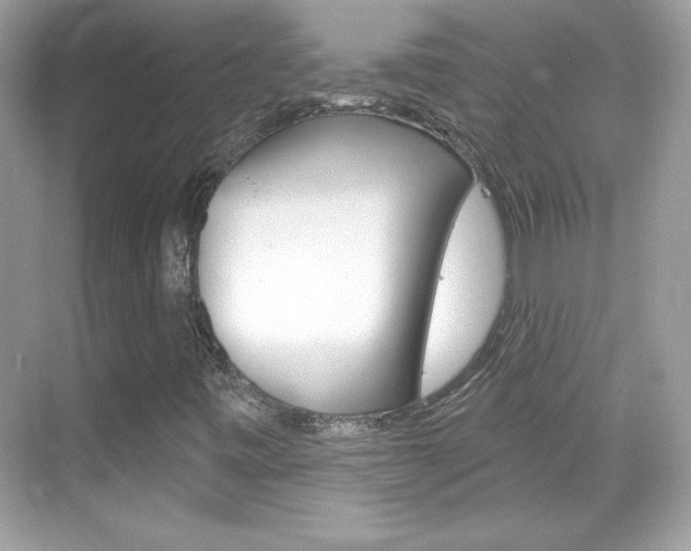 X0000068891443200605051103
