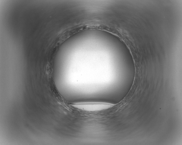 X0000068891445200605051103