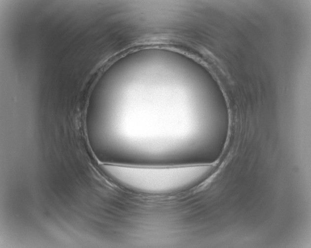 X0000068891449200605051103