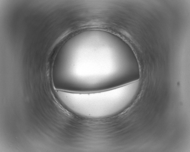 X0000068891450200605051103