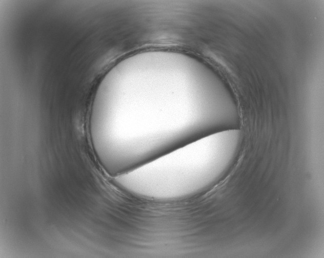 X0000068891451200605051103