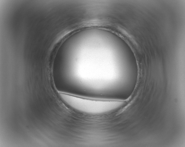 X0000068891453200605051103