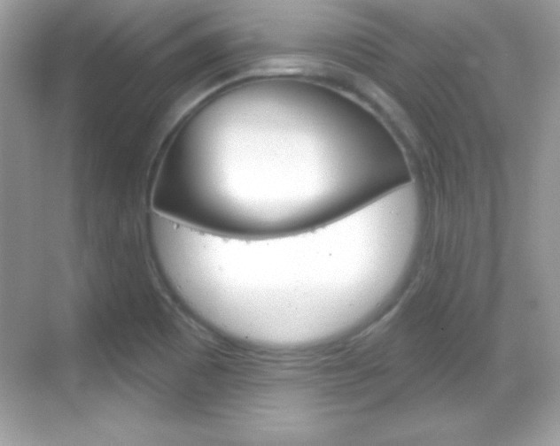 X0000068891465200605051102